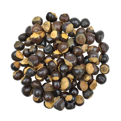 Guarana Ganz Samen Guaranasamen - Paullinia Cupana (1.5kg) von YouHerbIt