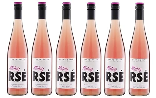 6x 0,75l - 2023er - Young Poets - Allday Rosé - Qualitätswein Württemberg - Deutschland - Rosé-Wein halbtrocken von Young Poets