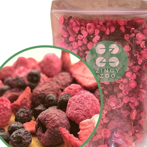 Super-Beeren Gefriergetrocknete Früchte Mix | XL 300g Trockenfrüchte Ohne Zucker | Getrocknete Früchte | Trockenfrüchte Gefriergetrocknet Erdbeeren Himbeeren Heidelbeeren Gefriertrockner ZingyZoo von ZINGY ZOO