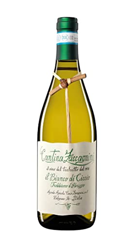 Zaccagnini Il bianco di Ciccio Colli Pescaresi D.O.C. 2020 (1 x 0,75 l) von Zaccagnini