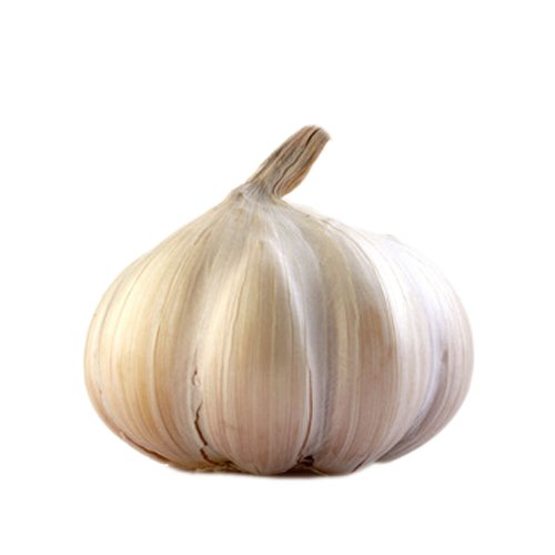 Knoblauch 6 x 1 Stk von amorebio