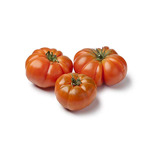 Tomaten Coeur de Boeuf - Ochsenherzen 1 x 1 kg von amorebio