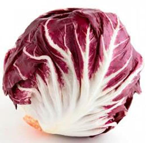 Radicchio 12 x 1 kg von amorebio