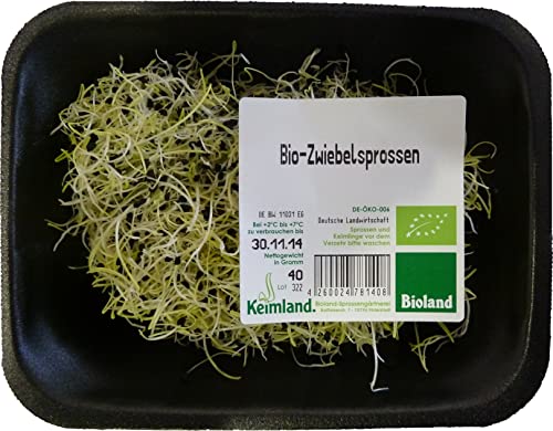 Zwiebelsprossen von amorebio