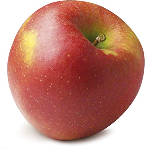 Apfel Jonagold von amorebio