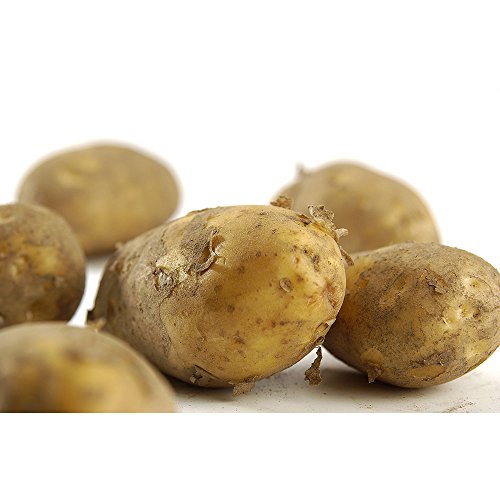 amorebio Frühkartoffeln festkochend (1 x 2000 gr) von amorebio