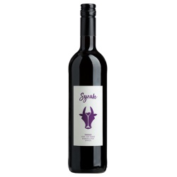 Syrah La Mancha San Isidro 2020 von bioladen*