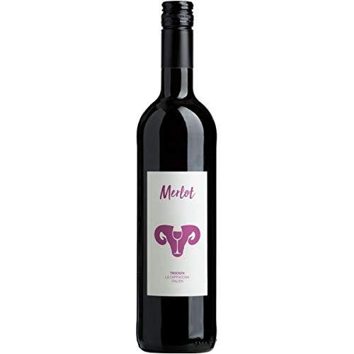 bioladen* Merlot Veneto Tessari IGT 2021 trocken (750 ml) - Bio von bioladen*