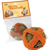 Quiko Fitness Foodball Karotte für Nager - 2 x 100 g von bitiba