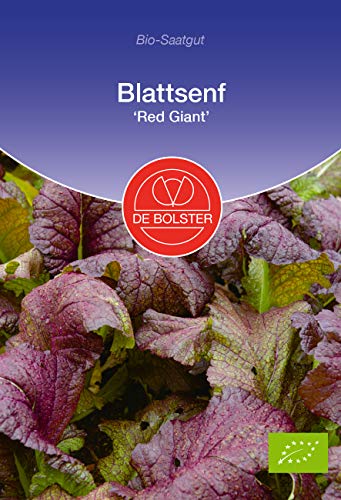 De Bolster 11575 Asiasalat Red Giant (Bio-Asiasalatsamen) von de Bolster