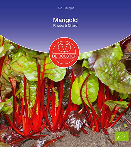 De Bolster 11910 Mangold Rhubarb Chard (Bio-Mangoldsamen) von de Bolster