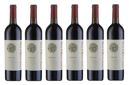 6x 0,75l - 2021er - di Camillo Vini - Musa di Rocca Antica - Merlot - Terre di Chieti I.G.P. - Abruzzo - Italien - Rotwein trocken von di Camillo Vini