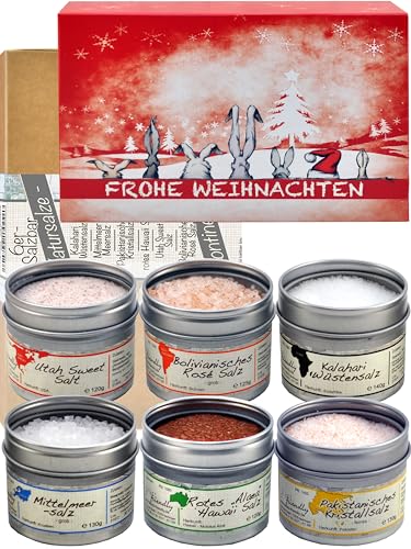 direct&friendly | 6 Kontinente Salz Weihnachtsgeschenkset | 6 Gourmetsalze aus 6 Kontinenten | erlesene Natursalz | 100% naturrein | 765 g (Weihnachten) von direct&friendly