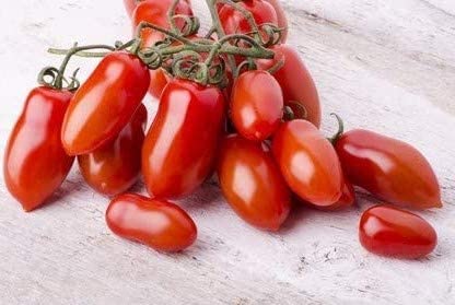 Tomate "San Marzano" Italienische Flaschentomate 10 Samen von exoticsamen.com PREMIUM QUALITY SEEDS