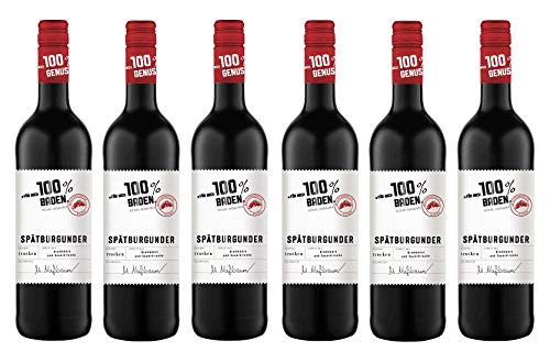 6x 0,75l - 2022er - "für mich 100% Baden" - Spätburgunder - Qualitätswein Baden - Deutschland - Rotwein trocken von "für mich 100%..."