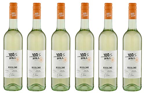 6x 0,75l - 2023er - "für mich 100% Pfalz" - Riesling - Qualitätswein Pfalz - Deutschland - Weißwein trocken von "für mich 100%..."