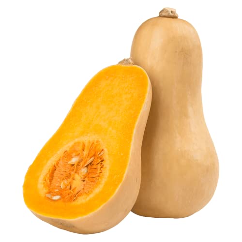 greenist Bio Kürbis Butternut 1 kg von greenist