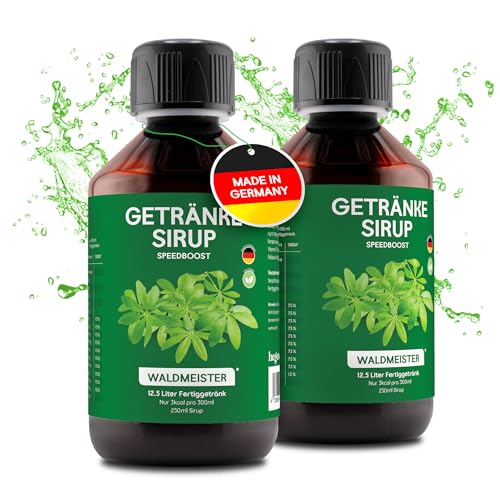 hCGC® Immunsystem Sirup - SpeedBoost 2x 250ml, Vegan - Zuckerfreies Getränkekonzentrat für 12,5L Fertiggetränk - Fruchtsirup Immunsystem Booster mit Vitaminen, Magnesium & L-Carnitin | Waldmeister von hCGC