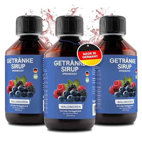 hCGC® Immunsystem Sirup - SpeedBoost 3x 250ml, Vegan - Zuckerfreies Getränkekonzentrat für 12,5L Fertiggetränk - Fruchtsirup Immunsystem Booster mit Vitaminen, Magnesium & L-Carnitin | Waldbeere von hCGC