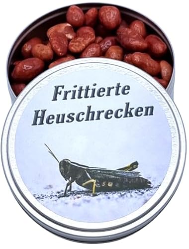 Frittierte Heuschrecken to Go aus der Dose, Gebrannte Erdnüsse dragiert Nervennahrung, Geschenk zur Entspannung, Spaßgeschenk von ich