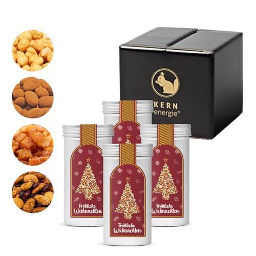 KERNenergie Weihnachtsgeschenke Set - weihnachtliche Premium Nüsse - Nussmischungen, Schokonüsse, Haselnüsse und Apfel-Zimt-Stücke - Nuss Geschenk Set in edler Geschenkbox von kern-energie