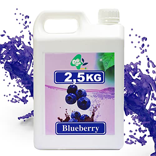 SIRUP FÜR BUBBLE TEA 2,5kg | 1900ml | KONZENTRAT-SAFT-Blaubeere von molecula molecula Molekularna Fabryka Samku