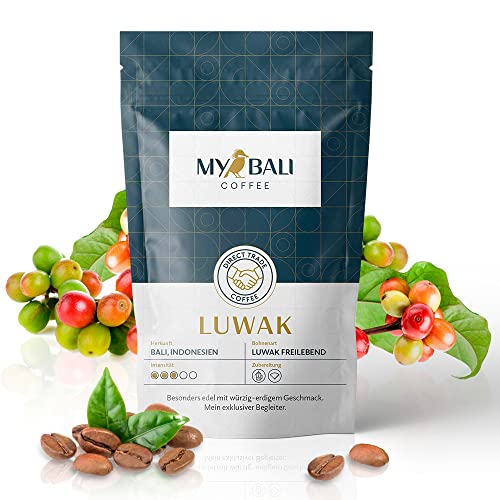 MYBALI COFFEE 100g Kopi Luwak Kaffee von frei Lebenden Luwak Schleichkatzen / Kaffee Geschenk, Kopi Luwak, Luwak Kaffee, Katzenkaffee, Kopi Luwak ganze Bohnen, Edler Kaffee, Kaffee Kopi Luwak von myBali Coffee