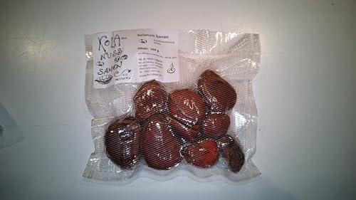 frische Kolanuss (kola nitida) (100g) von natur-reich-inform