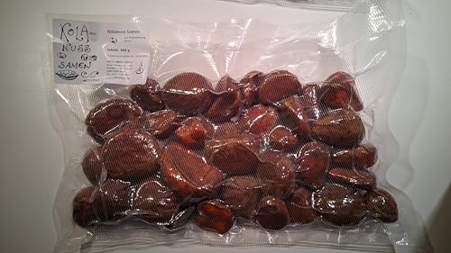 frische Kolanuss (kola nitida) (500g) von natur-reich-inform