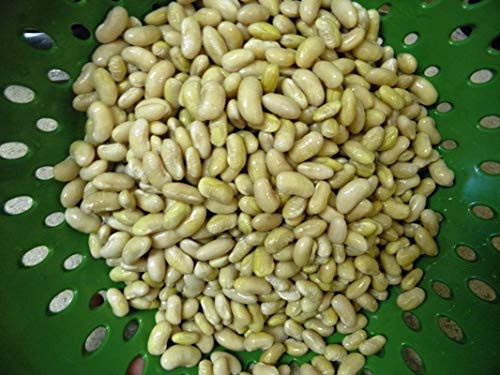 Keimfutter: 100 - Seeds: Mayocoba Bean Samen - Kanarische Bohnen, Peruanische Bohnen - King of Beans -Delicious !!! von seedsown