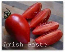 seedsown Amish Paste Tomate! 20 Samen! Sehen Sie unseren Speicher 200 Arten von Tomatoes! von seedsown