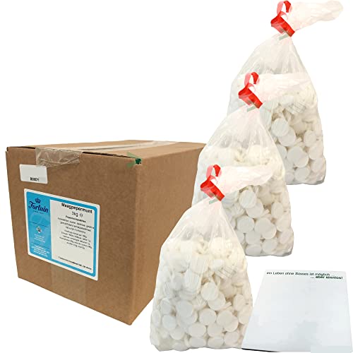 Fortuin Maagpepermunt Pastillen Pfefferminz 3er Pack (3x 3kg Karton) + usy Block von usy