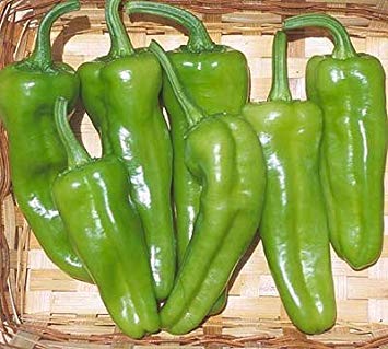 125 Samen des Pepperoncini - Hot Peppers von vegherb