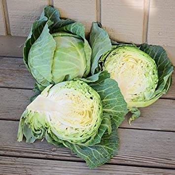 vegherb 1/2 Gramm Samen der Schnellstart-Kohl von vegherb