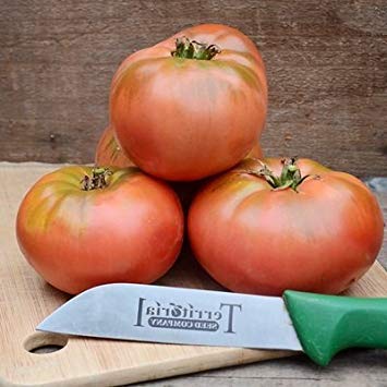 vegherb 1 Gramm Bio-Samen der Kosmonaut Volkov Tomato Bio von vegherb