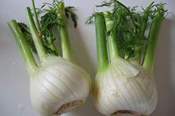 vegherb 400X Gemüsesamen Florenz Fenchel von vegherb