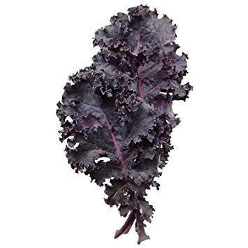 vegherb 5 Gramm Samen der Scarlet Kale von vegherb