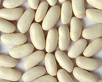 vegherb Bean-White Kidney-Bohnen (Cannellini-Bohnen) Heirloom Grown Biologisch-200 Seeds! von vegherb