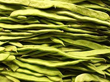 vegherb New Romano Pole Bean Italienisch Wohnung Grün Pod Phaseolus Vulgaris Gemüse 50+ Seeds von vegherb