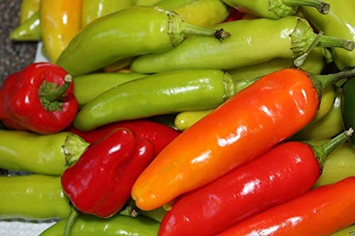 vegherb Paprika Ungarische Süße Wax - Jumbo Paprika, 1000 Heirloomsamen von vegherb